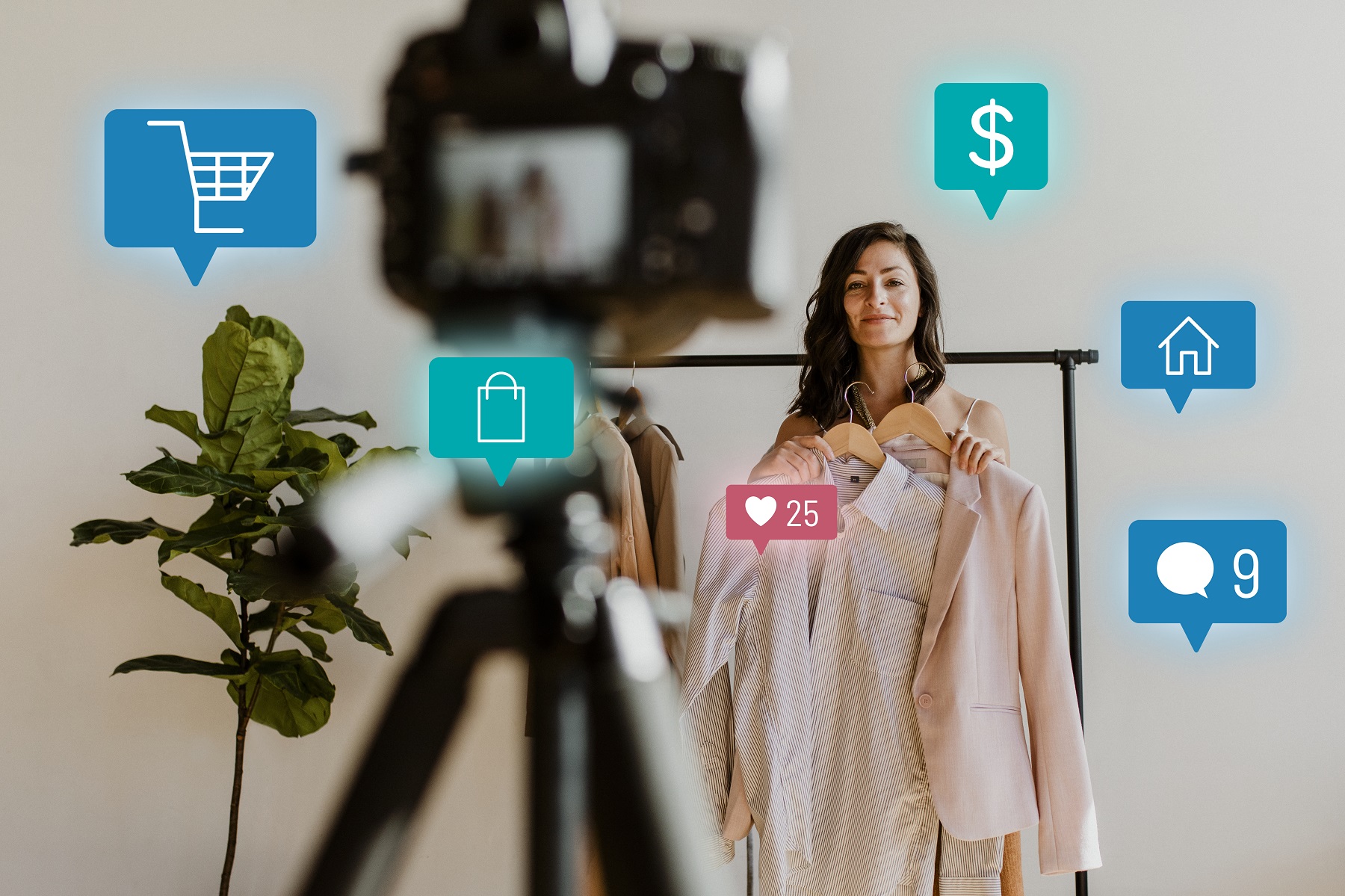 Brand Collaboration